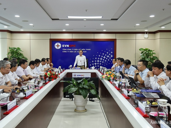 Chủ tịch Hội đồng thành viên EVNCPC làm việc với PC Quảng Ngãi