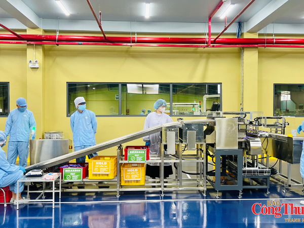 Gia Lai: Xuất khẩu vượt 2,35 tỷ USD, công nghiệp, thương mại đều tăng