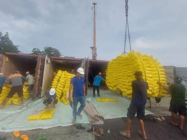 Doanh nghiệp xuất khẩu gạo cần chủ động trước “đòn tâm lý” thị trường