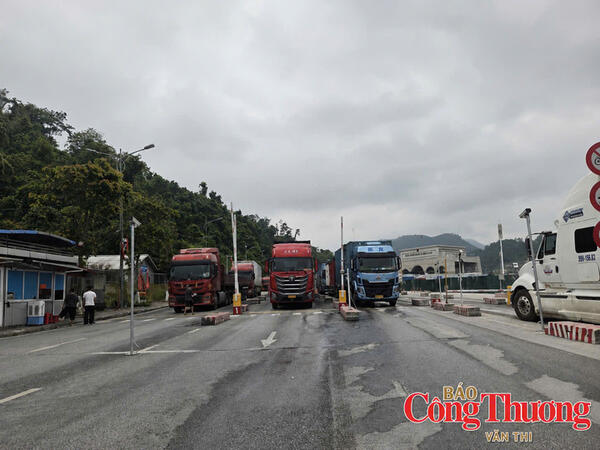 Cập nhật tin xuất nhập khẩu qua các cửa khẩu Lạng Sơn ngày 16/8/2026
