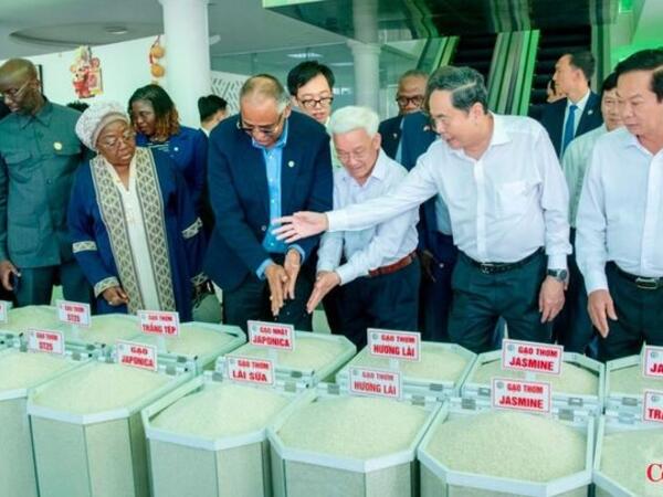 Việt Nam - Bờ Biển Ngà mở rộng kết nối, nâng cơ hội xuất khẩu
