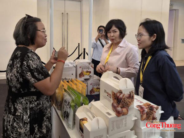 Gần 200 gian hàng tham gia Ngày hội xúc tiến giao thương Hàn - Việt