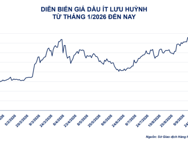 Giá đậu tương kỳ hạn tháng 11 tăng 1,1%, lên 474,7 USD/tấn