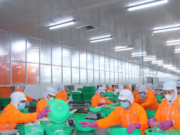 Khơi thông tín dụng, phát huy tiềm năng kinh tế tỉnh Tây Ninh