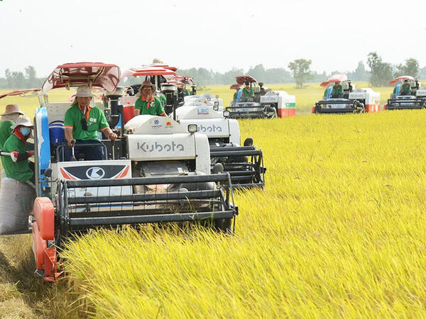 Giải cơn khát vốn dài hạn cho doanh nghiệp nông nghiệp