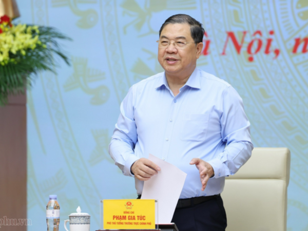 Phó Thủ tướng Thường trực Phạm Gia Túc làm Chủ tịch Hội đồng thẩm định Quy hoạch khoáng sản nhóm I