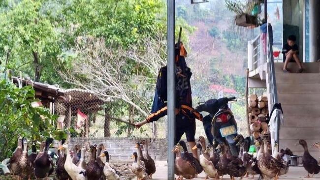 Mường Lạn đánh thức lợi thế giống vịt cổ xanh, hướng tới sản phẩm OCOP