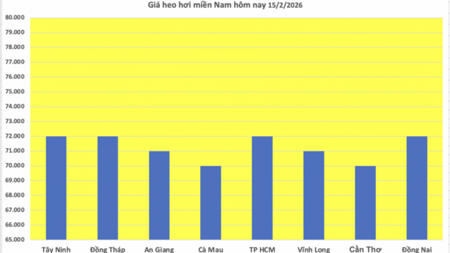 Giá heo hơi hôm nay 15/2/2026: Tiếp tục đi ngang