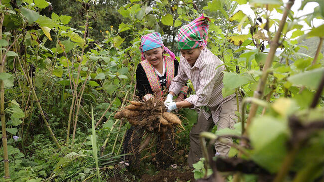 Nâng năng lực quản lý, mở lối thương mại điện tử về địa phương