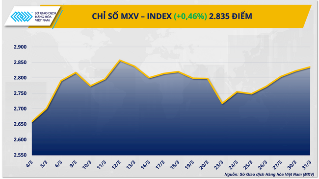 Thị trường kim loại quý đảo chiều mạnh mẽ, bạc dẫn dắt đà tăng