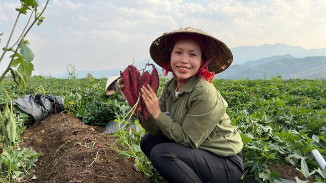 Cô gái Hà Nội kể câu chuyện sản phẩm của bản làng qua TikTok Shop