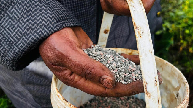 Căng thẳng ở Trung Đông đẩy giá lương thực toàn cầu tăng cao