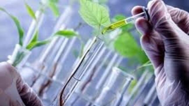 Tập trung phát triển, ứng dụng hiệu quả công nghệ sinh học thành ngành kinh tế - kỹ thuật quan trọng