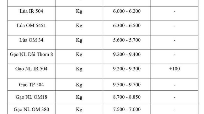 Giá lúa gạo hôm nay ngày 15/7/2026: Gạo nguyên liệu xuất khẩu tăng nhẹ