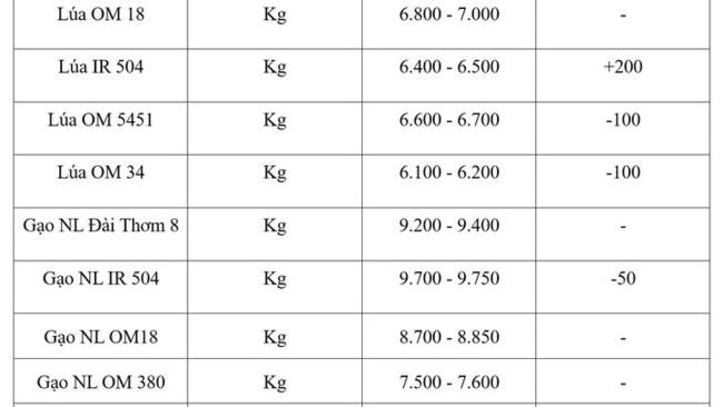 Giá lúa gạo hôm nay ngày 20/8/2026: Lúa tươi biến động trái chiều