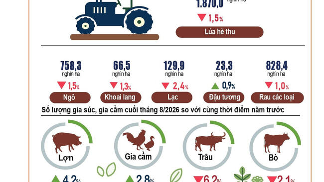 Tình hình kinh tế - xã hội 8 tháng đầu năm 2026