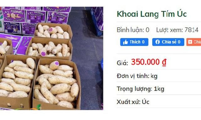 Khuyến mãi sâu, khoai lang tím Úc vẫn có giá 100.000 đồng/kg - Ảnh 1. Khuyến mãi sâu, khoai lang tím Úc vẫn có giá 100.000 đồng/kg - Ảnh 1.