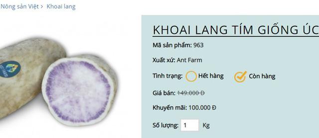 Khuyến mãi sâu, khoai lang tím Úc vẫn có giá 100.000 đồng/kg - Ảnh 3. Khuyến mãi sâu, khoai lang tím Úc vẫn có giá 100.000 đồng/kg - Ảnh 3.