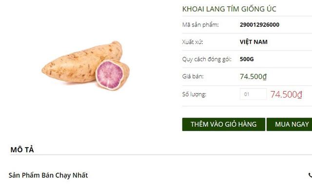 Khuyến mãi sâu, khoai lang tím Úc vẫn có giá 100.000 đồng/kg - Ảnh 2. Khuyến mãi sâu, khoai lang tím Úc vẫn có giá 100.000 đồng/kg - Ảnh 2.