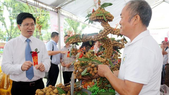 3 tấn nhãn đầu tiên chuẩn bị xuất khẩu sang châu Âu - Ảnh 1. 3 tấn nhãn đầu tiên chuẩn bị xuất khẩu sang châu Âu - Ảnh 1.
