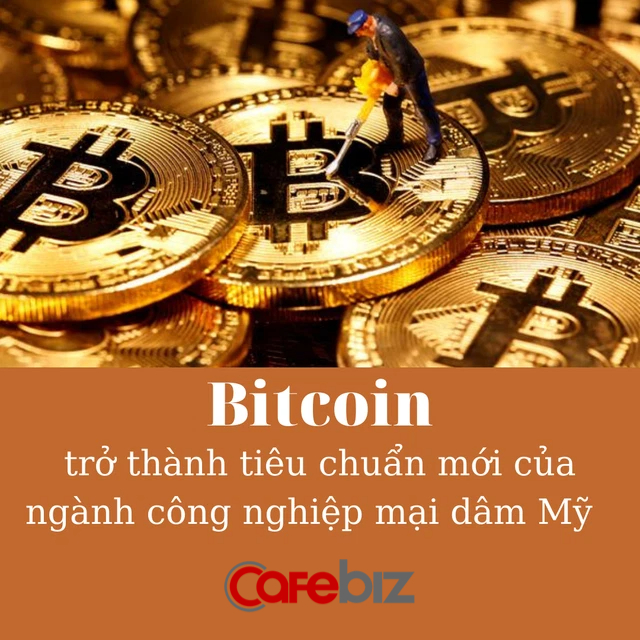 Bước tiến mới của tiền số: Từ web người lớn đến gái bán hoa đều chấp nhận khách thanh toán bằng Bitcoin - Ảnh 4.
