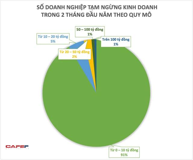 2 tháng đầu năm, gần 190 doanh nghiệp quy mô trên 100 tỷ đồng tạm ngừng kinh doanh  - Ảnh 1.