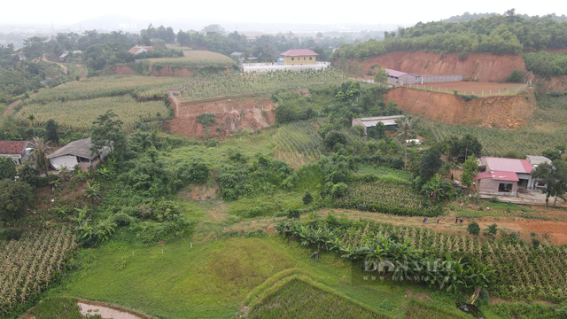 Giá đất tăng phi mã, người thành phố về quê “săn” đất vườn làm farmstay - Ảnh 1.