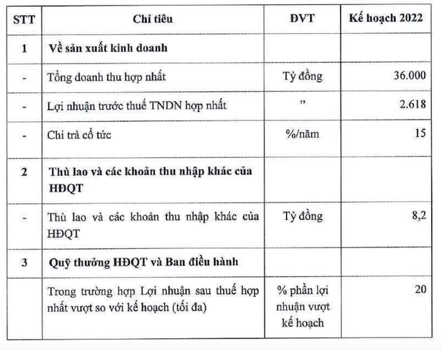 Gelex: Đặt kế hoạch doanh thu 36.000 tỷ năm 2022, tăng trưởng 26%, niêm yết Gelex Hạ tầng và đầu tư 1.900 ha khu công nghiệp mới - Ảnh 2.