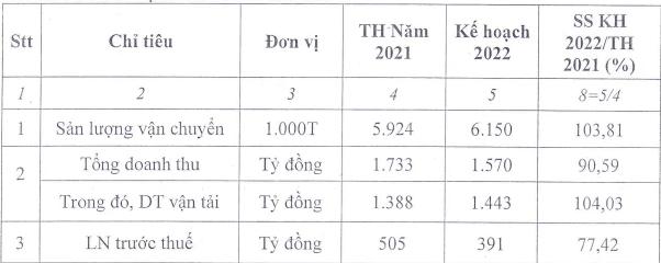 Lo ngại giá dầu leo thang, VOS đặt kế hoạch đi lùi trong năm 2022 - Ảnh 1.