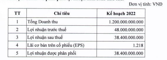 VOSA Corporation (VSA) hoàn thành 28,5% lãi sau thuế sau quý 1/2022 - Ảnh 2.