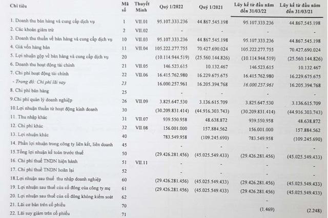 Sau quý 4/2021 có lãi, Vận tải biển Phương Đông (NOS) trở lại báo lỗ 29 tỷ đồng trong quý 1/2022 - Ảnh 1.