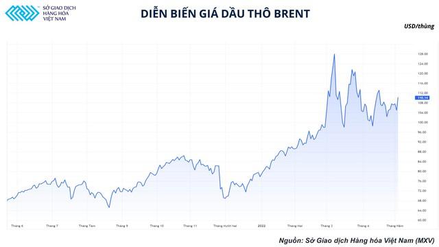 Ẩn số trên bàn cờ dầu mỏ: Thị trường chờ đón màn giải thoát của giá dầu - Ảnh 2.