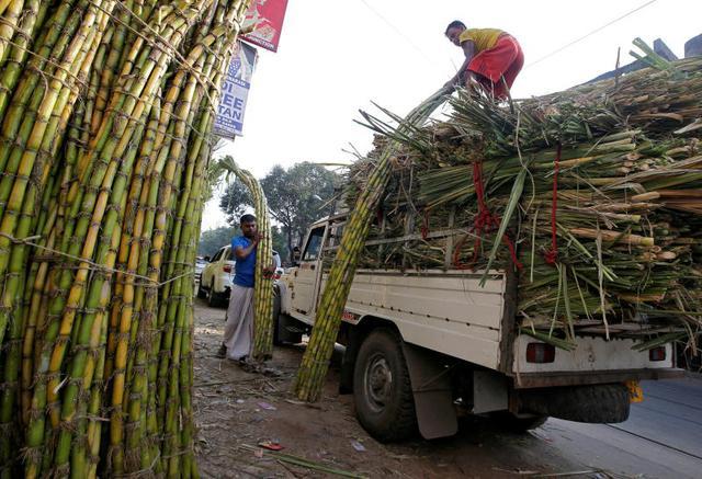 Sau lúa mì, Ấn Độ tiếp tục hạn chế xuất khẩu đường - Ảnh 1.