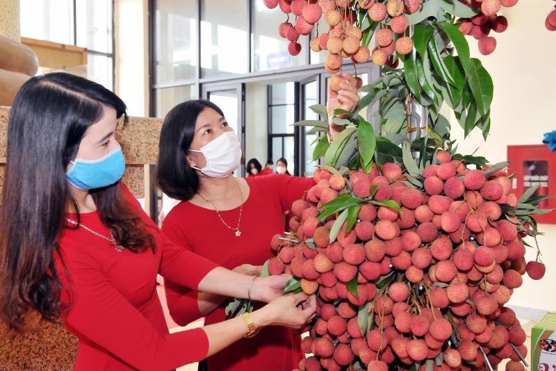 Năm 2022, sản lượng vải thiều toàn tỉnh Bắc Giang ước đạt khoảng 180.000 tấn