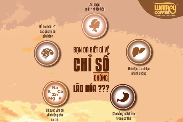 Công ty Cổ Phần Đầu Tư Phúc Nguyễn khai trương chuỗi dự án Watapy Coffee - Ảnh 2.