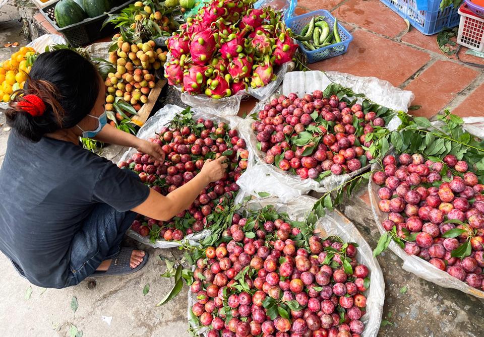 Giá mận tại chợ truyền thống trên địa bàn Hà Nội dao động từ 30.000 - 40.000 đồng/kg. (Ảnh chụp tại chợ Thành Công)