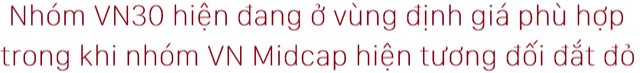 Thị trường chứng khoán điều chỉnh, định giá nhóm cổ phiếu VN30 và VNMidcap đã xuống mức thấp như thế nào? - Ảnh 2.