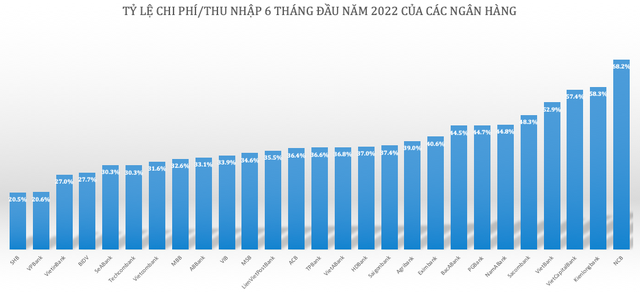 Ngấm chuyển đổi số, CIR tiếp tục giảm tại nhiều ngân hàng - Ảnh 2.