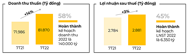 MWG lãi 305 tỷ đồng tháng 7, tăng 32% so với nền thấp năm ngoái nhưng thấp hơn các tháng trước - Ảnh 1.