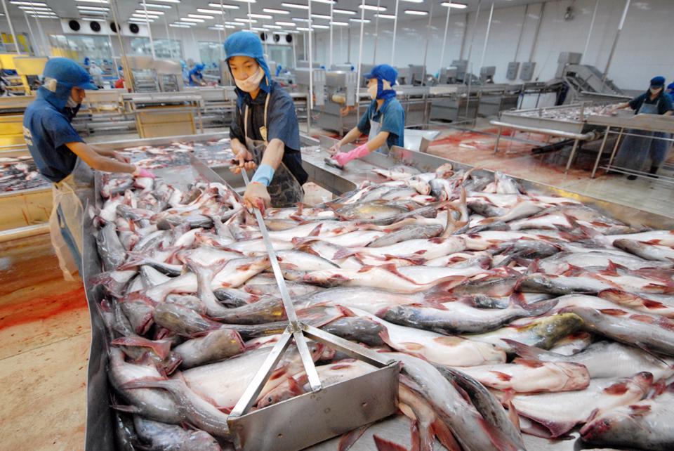 Các chính sách xuất nhập khẩu phải hướng tới mặt hàng và thị trường để thúc đẩy mở rộng và xâm nhập thị trường.