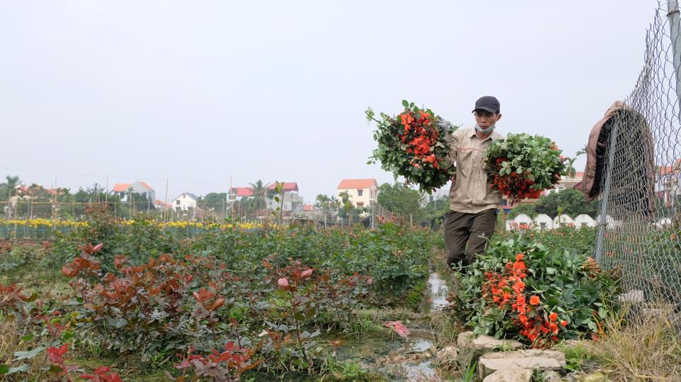 Sau 8 năm đi vào thực tiễn, Luật Đất đai 2013 đã bộc lộ nhiều hạn chế, cần được sửa đổi để đáp ứng yêu cầu phát triển mới.