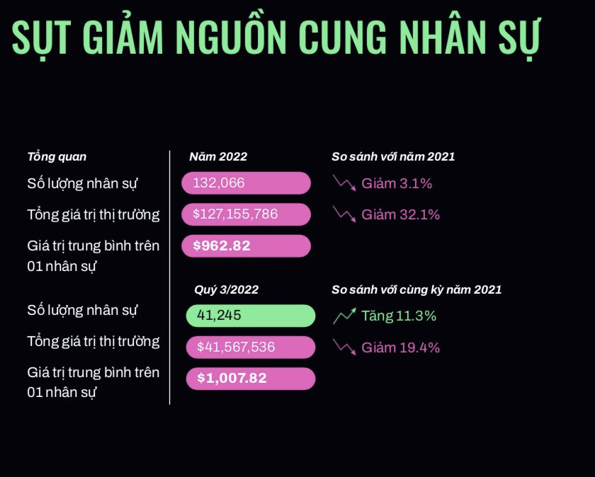 CEO JobHopin: Mức lương đề xuất của ngành dịch vụ tài chính đang cao hơn ngân hàng - Ảnh 1.