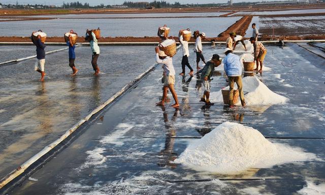 Giá muối cao, diêm dân không có muối để bán - Ảnh 1.