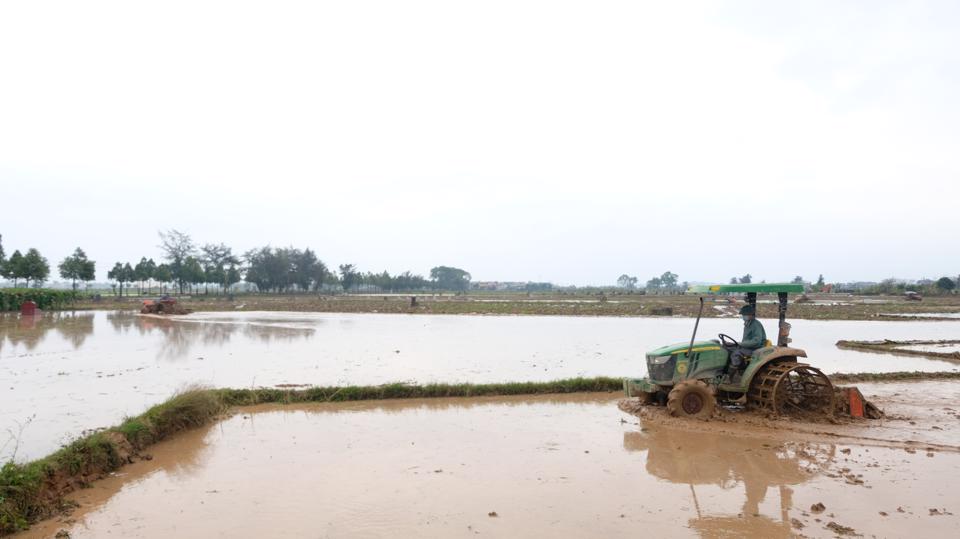 Đất nông nghiệp bỏ hoang không sản xuất có thể bị thu hồi theo quy định của pháp luật.