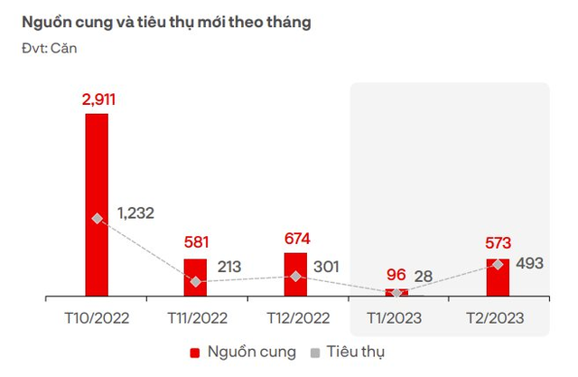 Giá bất động sản tại phía Nam giảm sâu nhất bao nhiêu? - Ảnh 1.