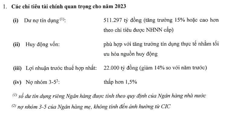 Techcombank có hơn 58 nghìn tỷ đồng lợi nhuận chưa sử dụng, đặt mục tiêu lãi 22.000 tỷ trong năm nay, tiếp tục không chia cổ tức - Ảnh 3. Techcombank có hơn 58 nghìn tỷ đồng lợi nhuận chưa sử dụng, đặt mục tiêu lãi 22.000 tỷ trong năm nay, tiếp tục không chia cổ tức - Ảnh 3.