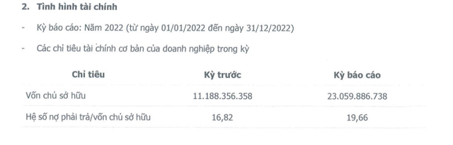 Chuỗi 45 cửa hàng thời trang hàng hiệu Hoàng Phúc lãi chưa đầy 2 tỷ đồng trong năm 2022, sụt giảm 83% so với năm 2021 - Ảnh 3.