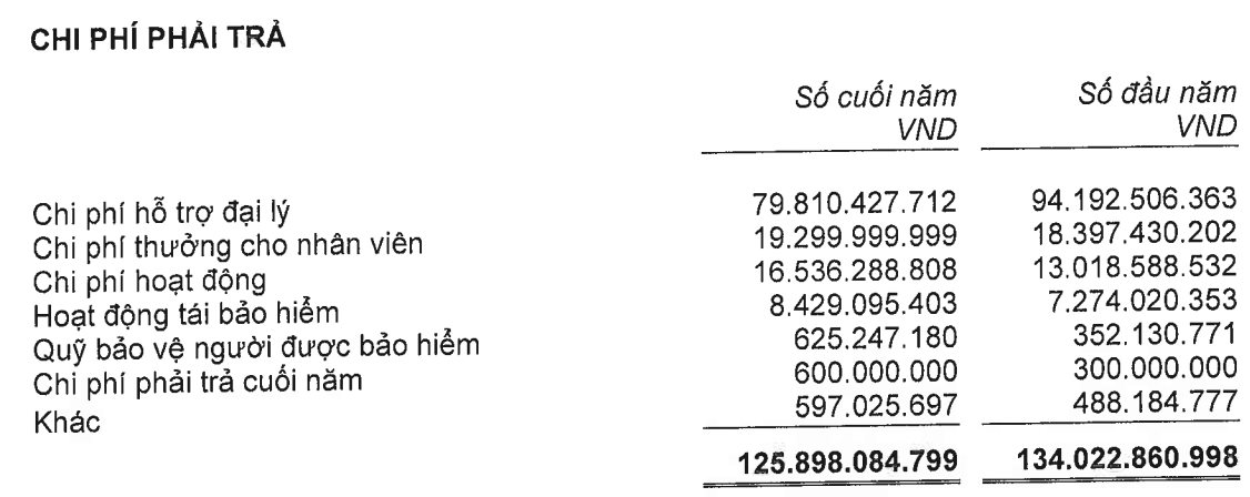 Trong khi Manulife, Prudential chi lương 1 tỷ/người/năm, chi phí cho nhân viên công ty bảo hiểm nhân thọ nội BIDV Metlife, MB Ageas, Phú Hưng Life... chỉ từ 300 triệu đồng/người - Ảnh 5.