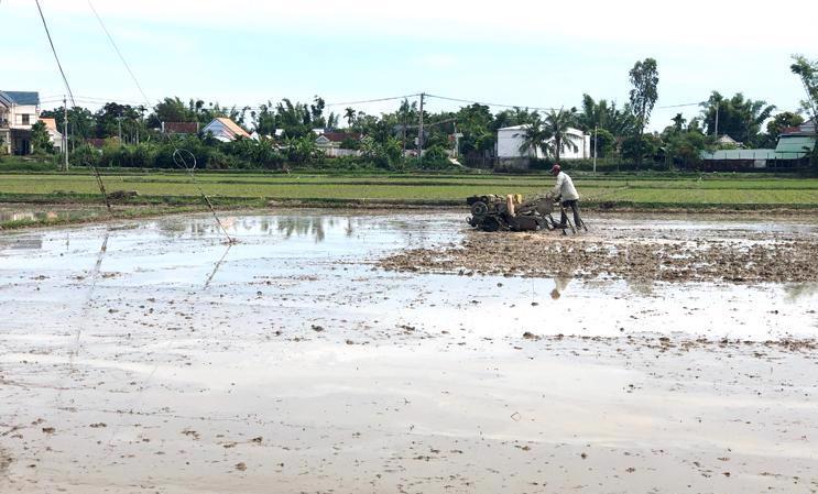 Dồn điền đổi thửa là “bước đệm” để nâng cao giá trị gia tăng trong sản xuất nông nghiệp.