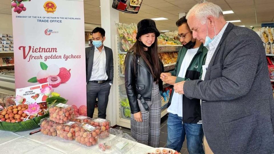 Người tiêu dùng Hà Lan tiếp cận sản phẩm vải thiều Việt Nam tại hệ thống siêu thị Thanh Hùng (TP Spijkenisse,-Hà Lan ). Ảnh: Nguồn Bộ Công Thương